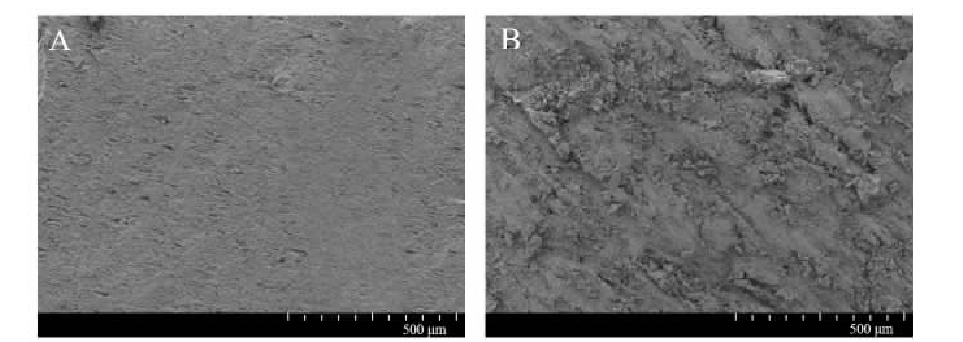 低溫等離子體處理對(duì)PVC表面粘接性能的影響