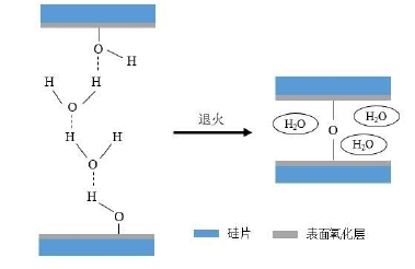 硅基晶圓親水性表面活化鍵合機(jī)理