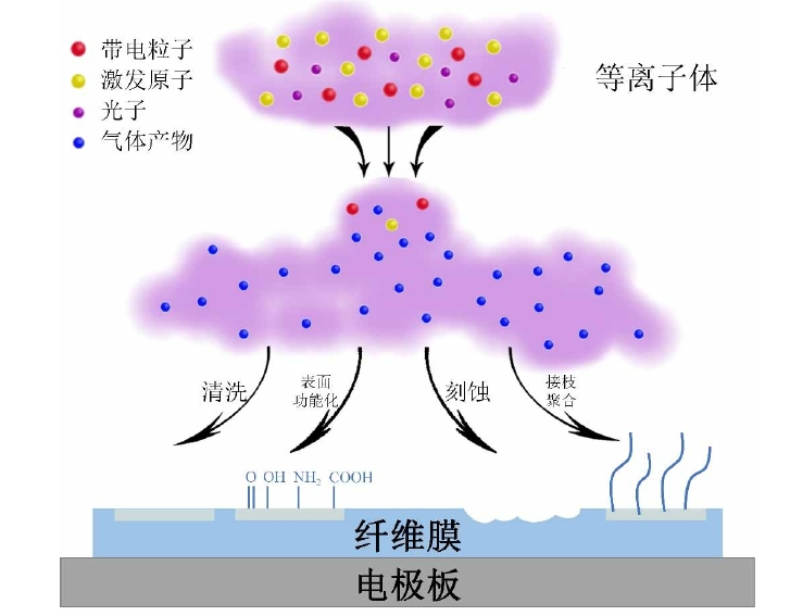 等離子體改性聚丙烯纖維膜作用機(jī)制示意圖