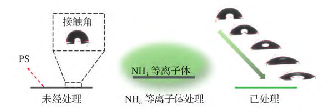 PS的氨氣等離子處理過(guò)程及可控親水改性示意圖