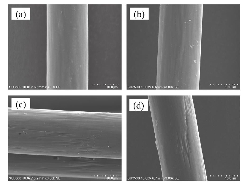    圖1  不同處理功率下的SEM圖像 (a) 未處理 (b) 100W (c) 200W (d) 300W 